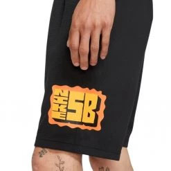 Nike SB Dri-FIT Sunday Shorts