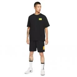 Nike SB Dri-FIT Sunday Shorts