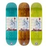 Welcome Skateboards 8.5" Ryan Townley Anatomy On Enenra Deck Decks