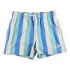 Duvin Design Co. Stripe Swim Short Boardshorts