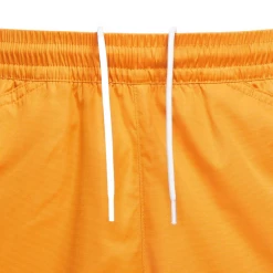 Nike SB Skate Chino Shorts