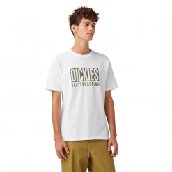 Dickies Skate Relief Tee Tees